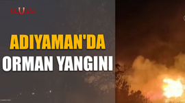 Adıyaman'da orman yangını